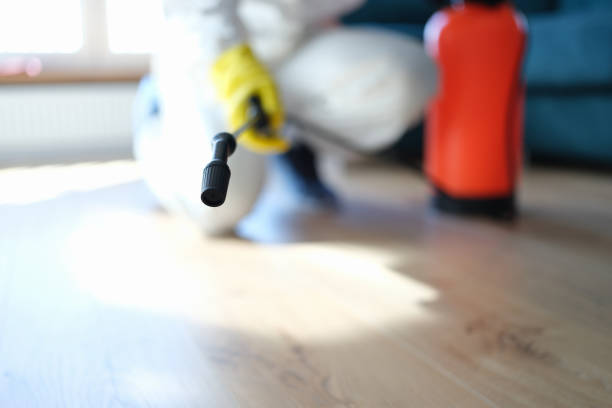 Best Indoor Air Quality Assessment  in Mesquite, TX